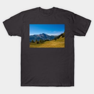 Monte Bivera in Friuli, North Italy T-Shirt